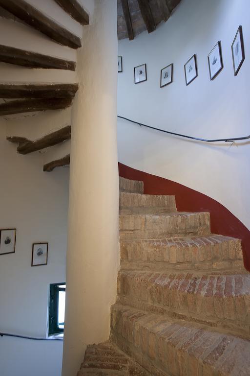 Fattoria Della Gioiosa - Agriturismo La Gelinda Casa de hóspedes Casale Marittimo Exterior foto